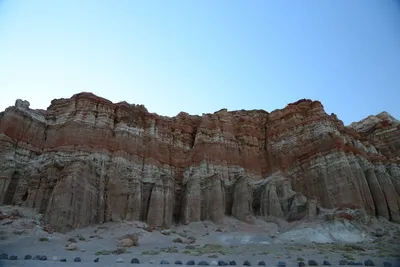 DSC_0266 (Large).JPG